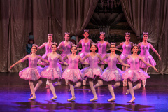 Bela Adormecida 2017