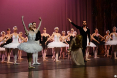 Lago dos Cisnes 2011